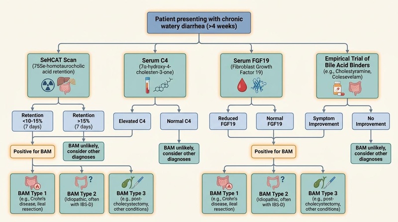 Clinical Flowchart for Diagnosing and Classifying Bile Acid Malabsorption