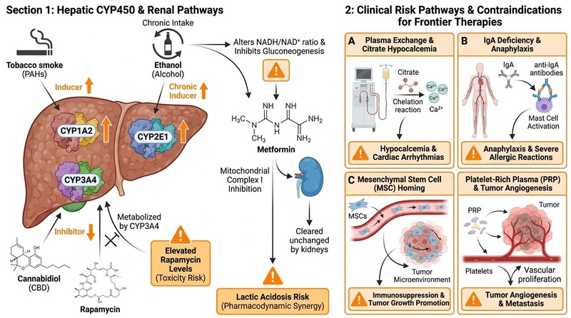 Molecular Mechanisms and Risks in Frontier Therapies