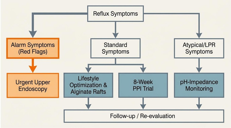 Figure 2: Clinical decision pathway for GERD evaluation, red flags, lifestyle mechanics, alginate therapy, acid suppression, and escalation. GERD Clinical Decision Pathway