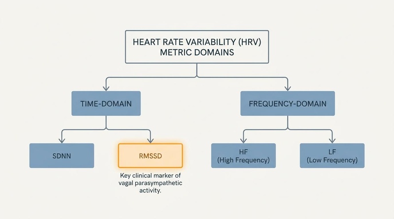 Flowchart of Heart Rate Variability metric domains. Categorizes metrics into Time-Domain (RMSSD, SDNN) and Frequency-Domain (HF, LF), highlighting RMSSD as the key clinical marker of parasympathetic vagal tone.