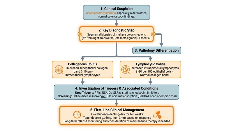 Figure 2: Diagnostic pathway for chronic watery diarrhea with normal colonoscopy, emphasizing random biopsies, medication triggers, bile-acid overlap, and budesonide response. Microscopic Colitis Diagnostic Pathway